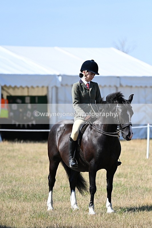 WJ7_3613 - Class 9 Mountain & Moorland Ridden