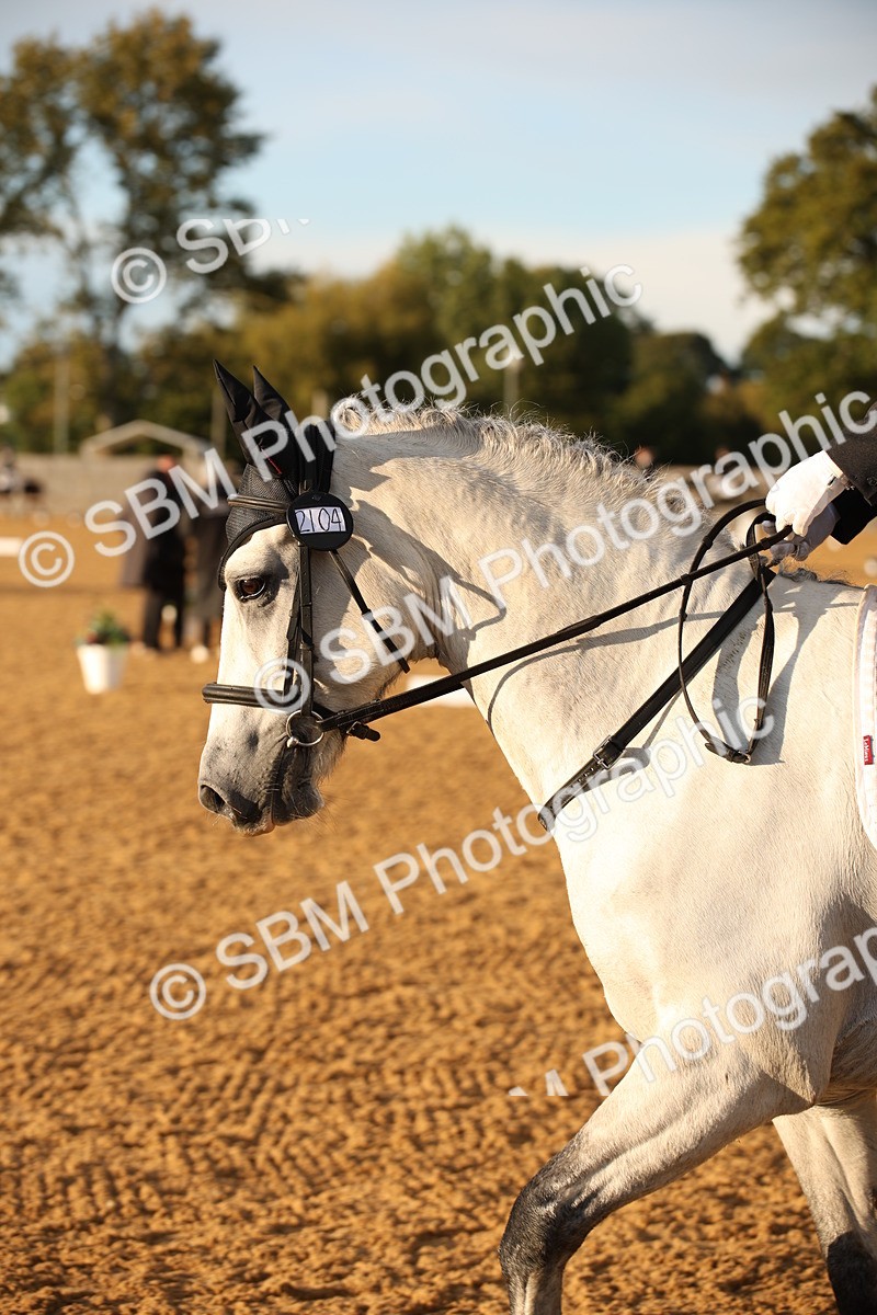 SBM_13286 - D3 Small  Tour Championship Intro A