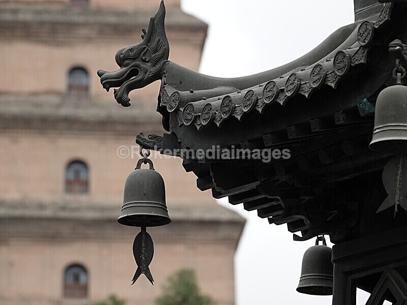 CHINA__0984 - China 2019