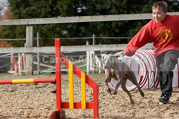 - Greenstead Green Farm Shop Animal Open Day