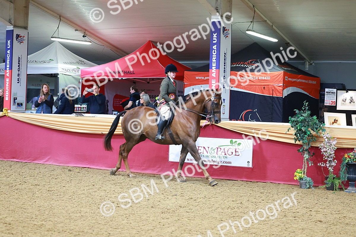 SBM_09883 - Class 102 - HOYS Veteran Qualifier - Ridden Veteran