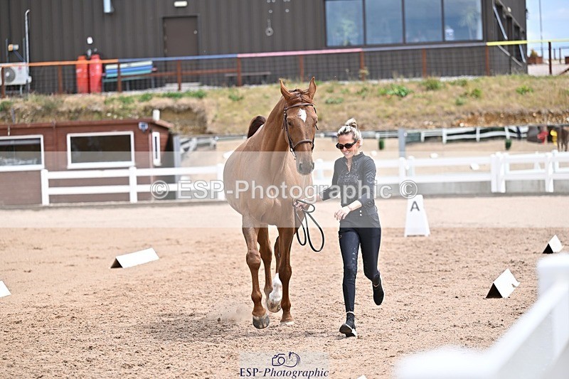 250716-132458-00497 - Trot Up 12.30 to 1.30