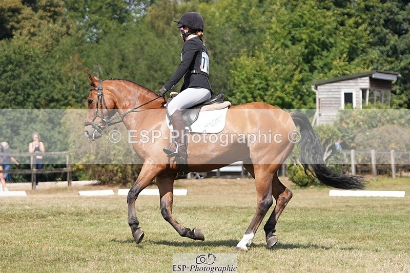 250823A-130759-31131 - Arena A