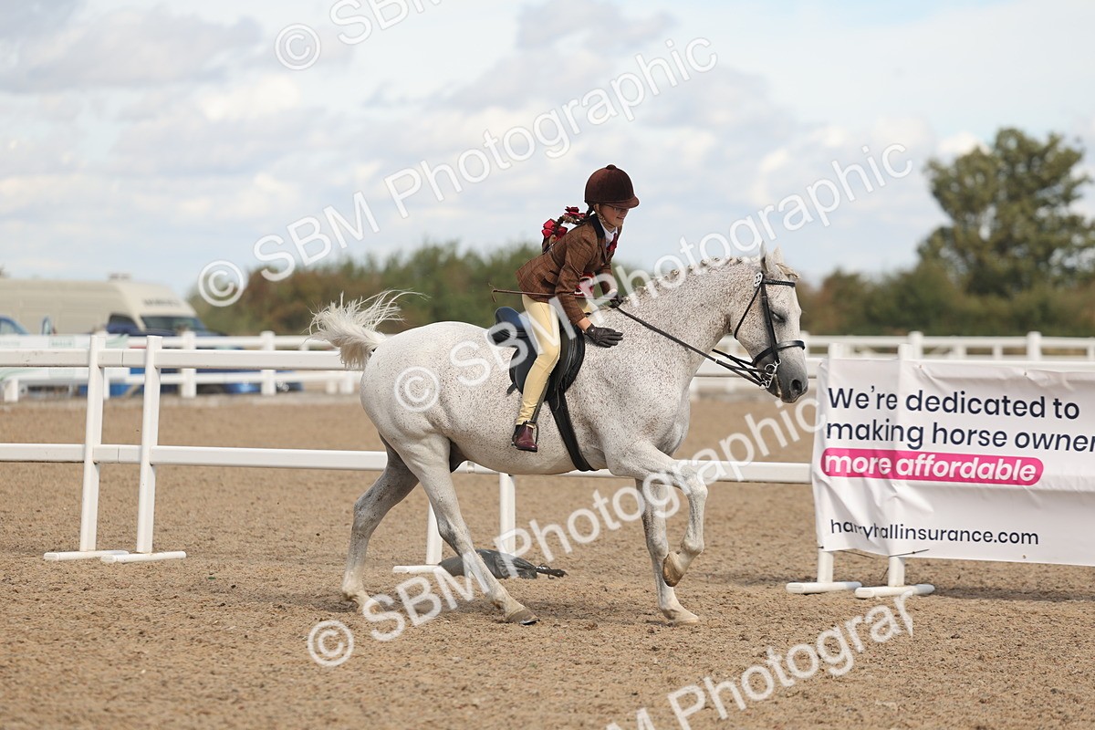 SBM_13210 - Class 306 - Ridden Foreign Breds - Part Bred