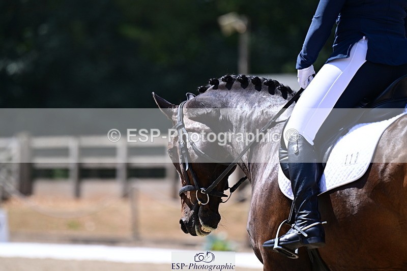 260802A-123307-06581 - Novice Bronze break - end