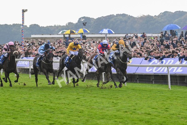 121024-Race 1-Jungle Drums-2543 - Race 1 1.30pm Coral Rockingham Stakes