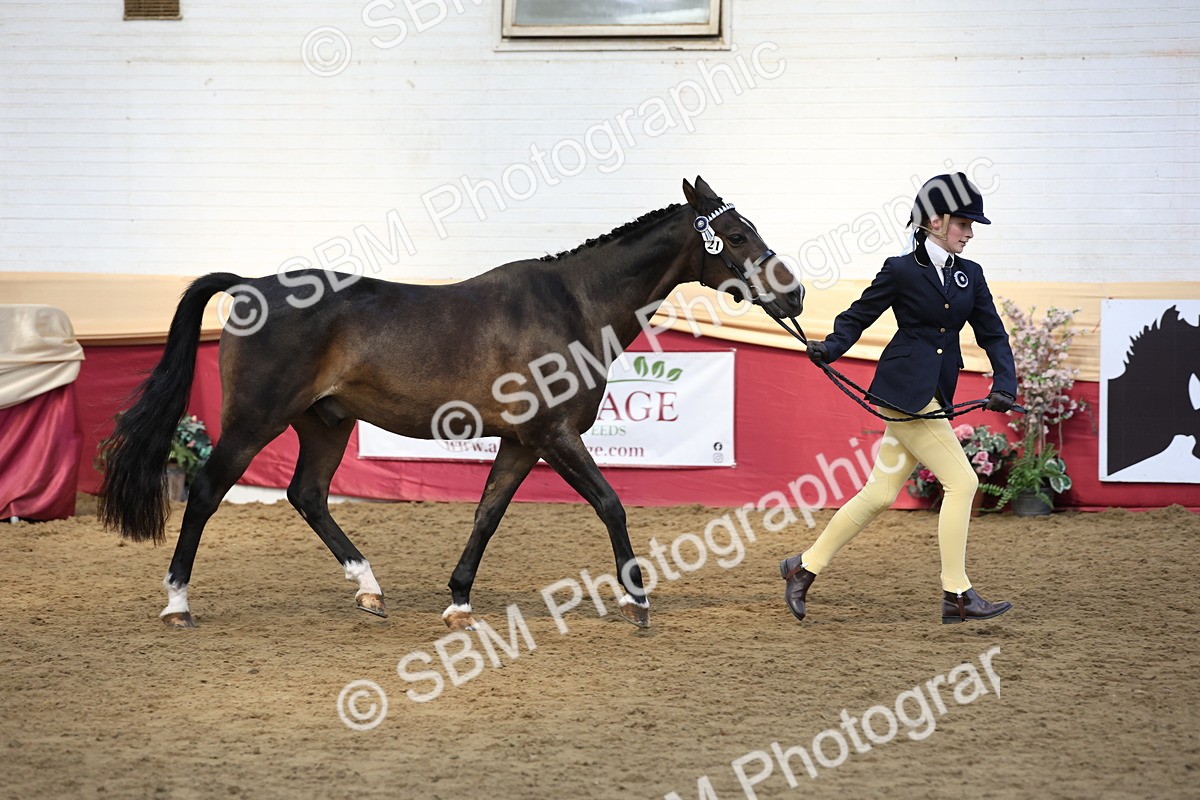 SBM_24110 - Class 905 - Supreme Final - Ridden Veteran