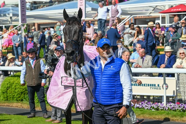 160525-Race 4-Rebels Romance-6851 - Race 4 3.45pm Boodles Yorkshire Cup Stakes
