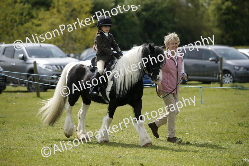 20260426-3450 - Class 11 - Best Mane and Tail