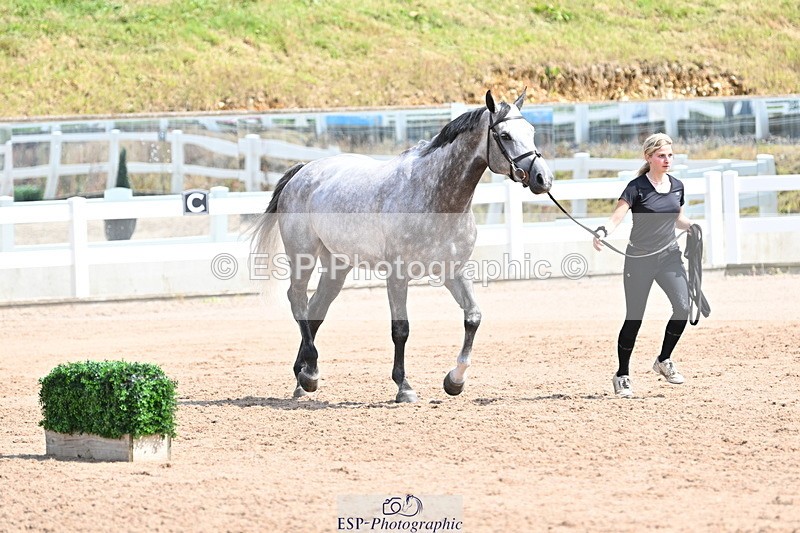 240717A-150905-02580 - Trot Up 3pm to 4pm