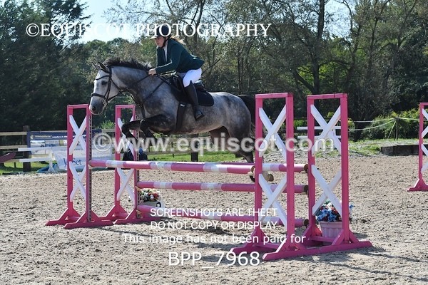 BPP_7968 - CLASS 4 Senior Discovery/ 1m Open