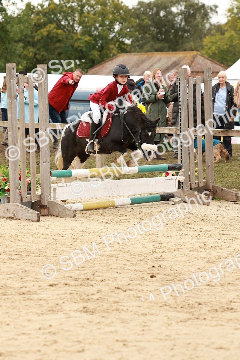 SBM_61946 - J12 - Junior Pony 55cm Championship