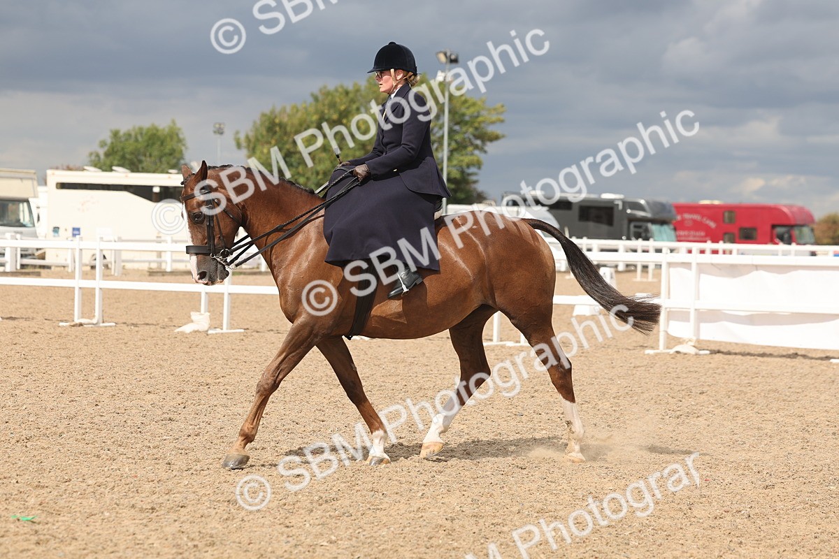 SBM_06366 - Class 22 - SSA - Equitation