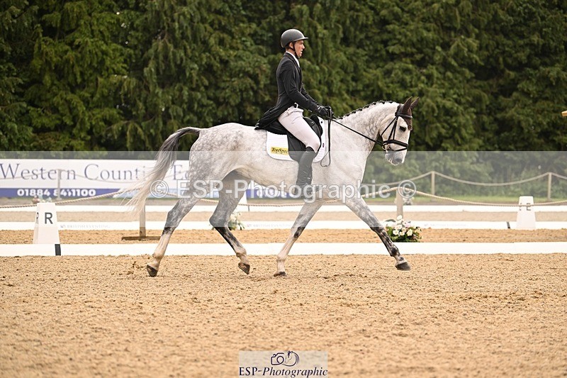 000101-215839-04510 - 404-DEERPAIRC_REVELRY-Max_Warburton