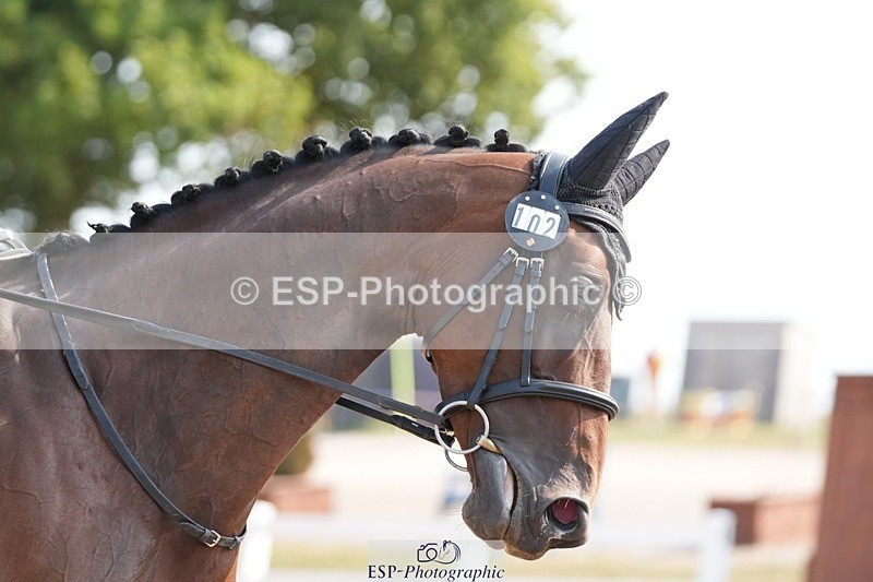 250817-102642-08342 - 102-Jane.AngilleyCall.me.Gary