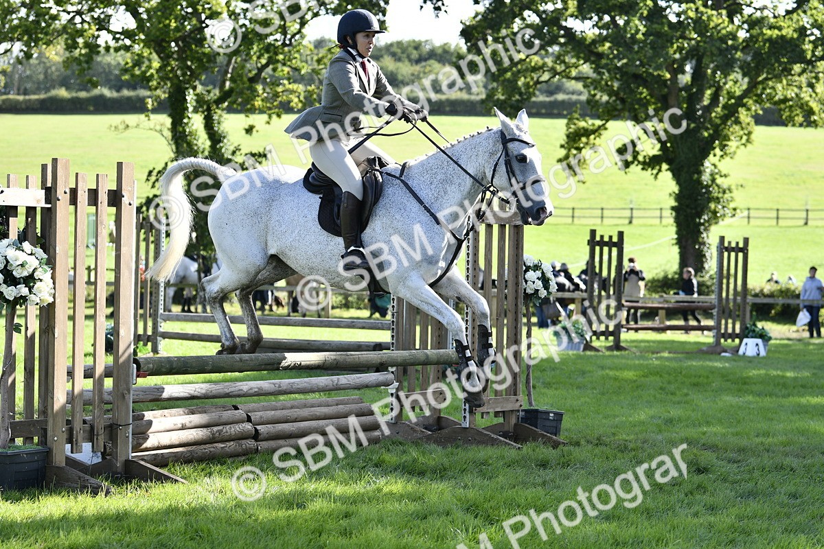 SBM_50021 - S34 - Novice & Newcomers Working Hunter