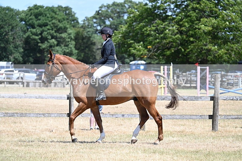 WJ7_2774 - Class 7 Riding Club Show Horse