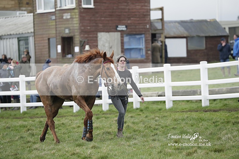 PtP 260323 0657 - New Forest Hounds Point-to-Point Larkhill 26/03/23