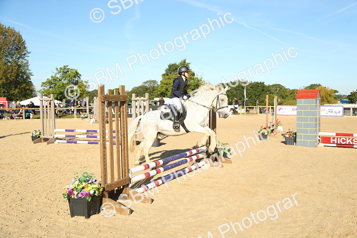 SBM_35784 - J5 - Junior Pony 50cm Championship