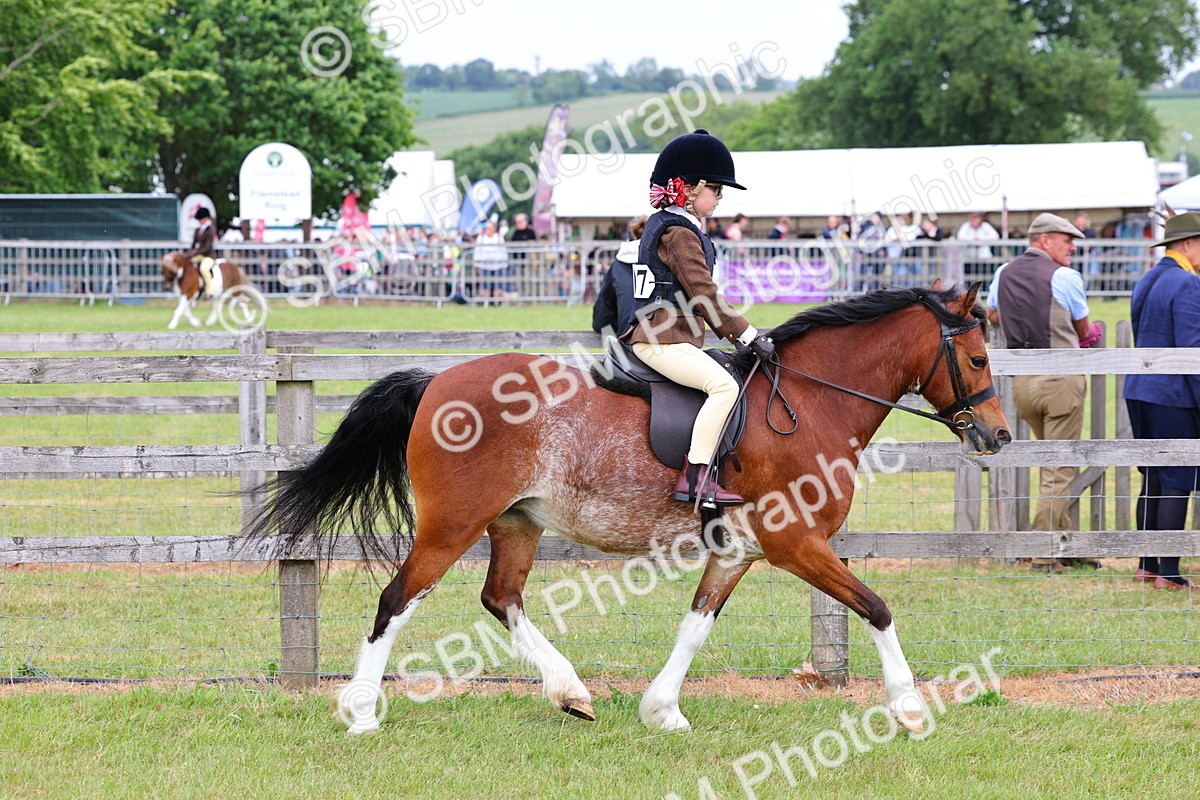 SBM_08548 - Class 42-43 - LIHS BSPS Heritage Working Sports Pony