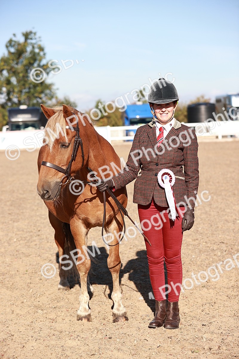 SBM_11469 - Class 402 - IH  Veteran pony