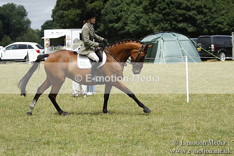 BVR160717-1811 - Ring 3 BVRC Show 16/07/17