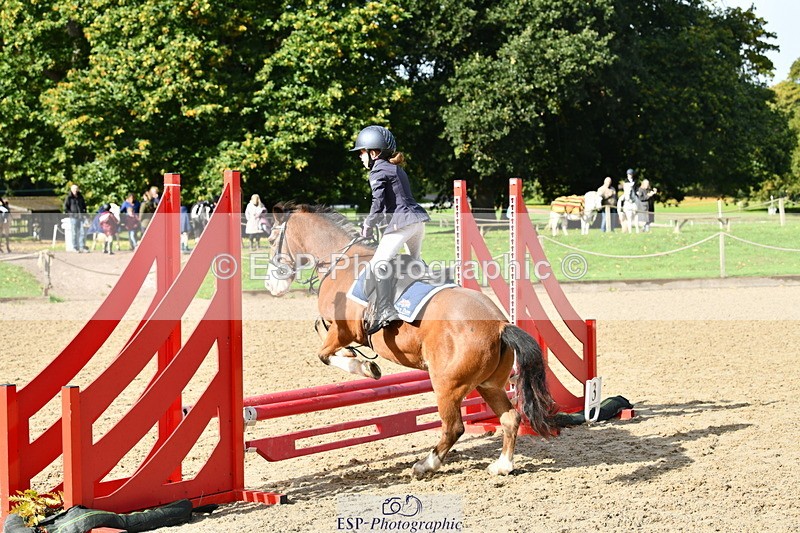 251004A-115059-00779 - Classes 4 & 5 50cm