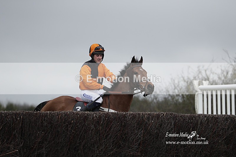 PtP 260323 0691 - New Forest Hounds Point-to-Point Larkhill 26/03/23