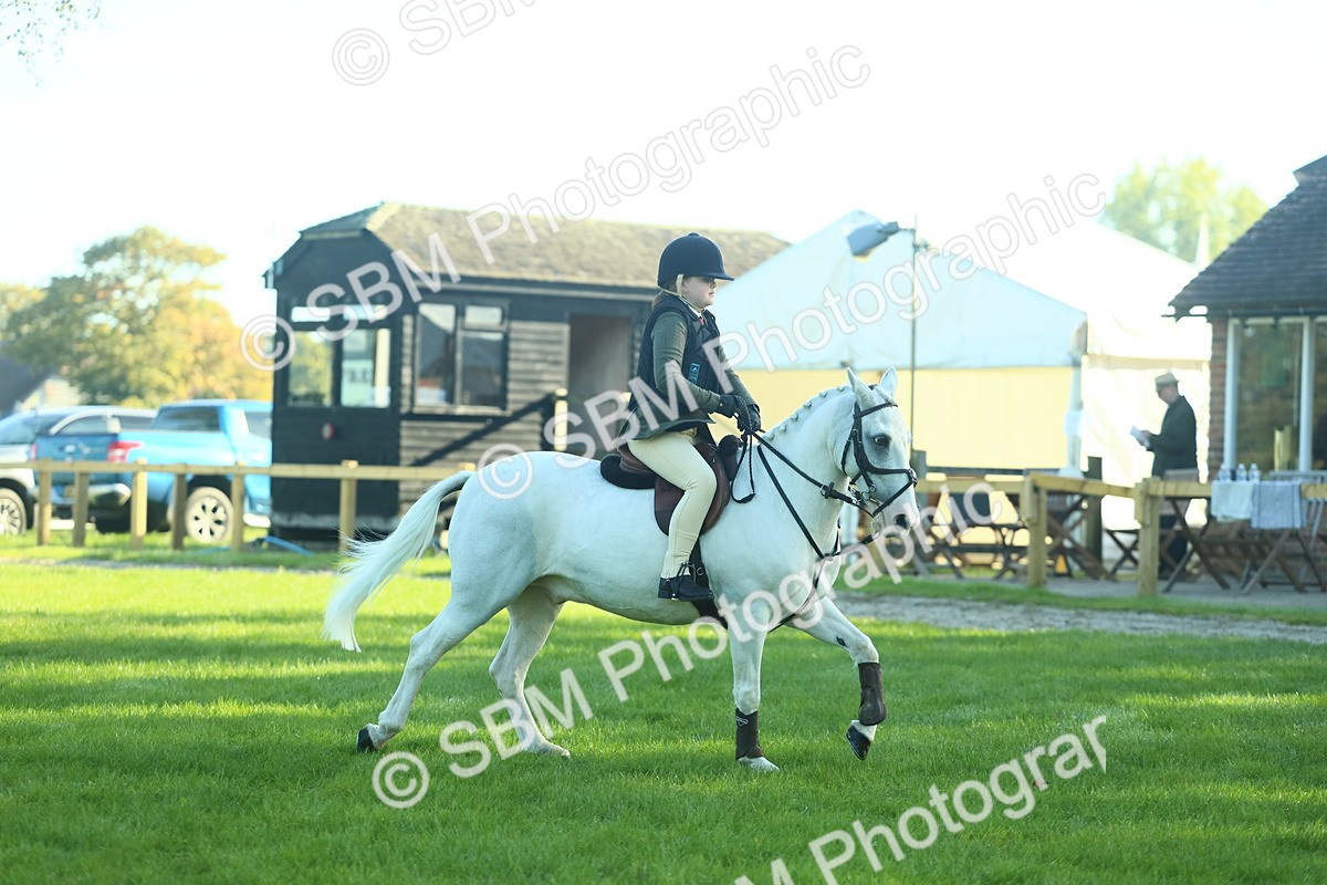 SBM_36274 - S29 - Novice & Newcomers Working Hunter Pony