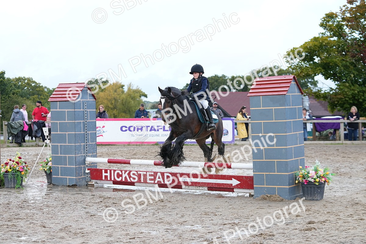 SBM_39628 - J6 - Junior Pony 55cm Championship