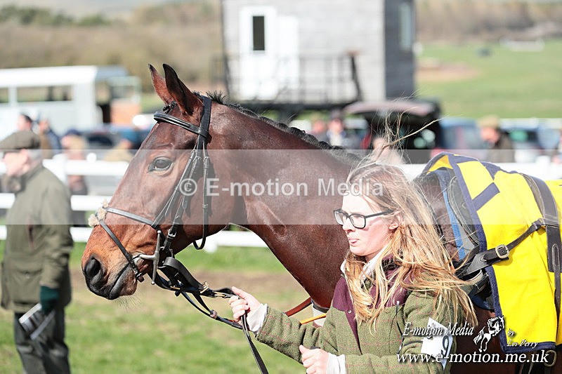 PtP 230324 230 - Tedworth Hunt PtP Larkhill Raccourse 23rd March 2024