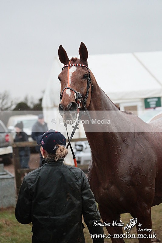 PtP 260125 941 - Cocklebarrow Point-to-Point racing with the Heythrop Hunt 26/01/25
