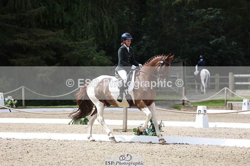 230812-121442-03964 - Cls 5 Novice Bronze 11.15 to 12.50 break