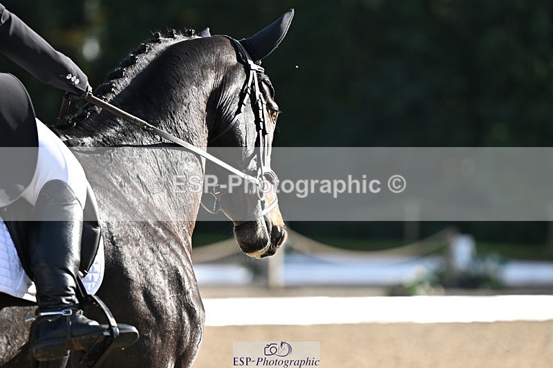 241023-143136-00333 - 101-Zoe.Boyles-SAM