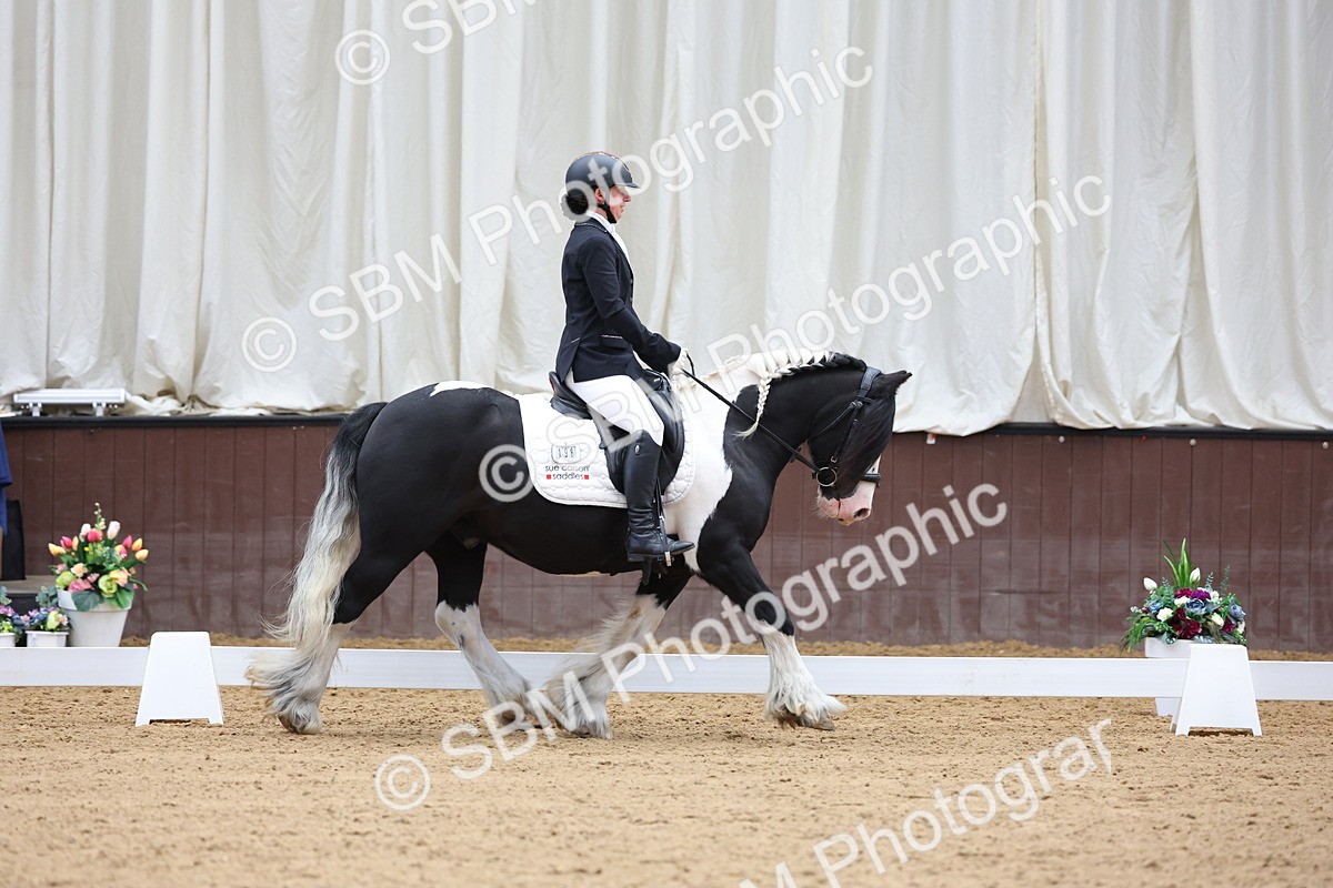 SBM_015997 - Class 15 - Novice FSM - 9.50 - 11.10