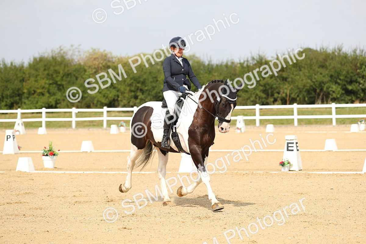 SBM_017265 - Class 13 - Novice 23 - 13.31-14.13