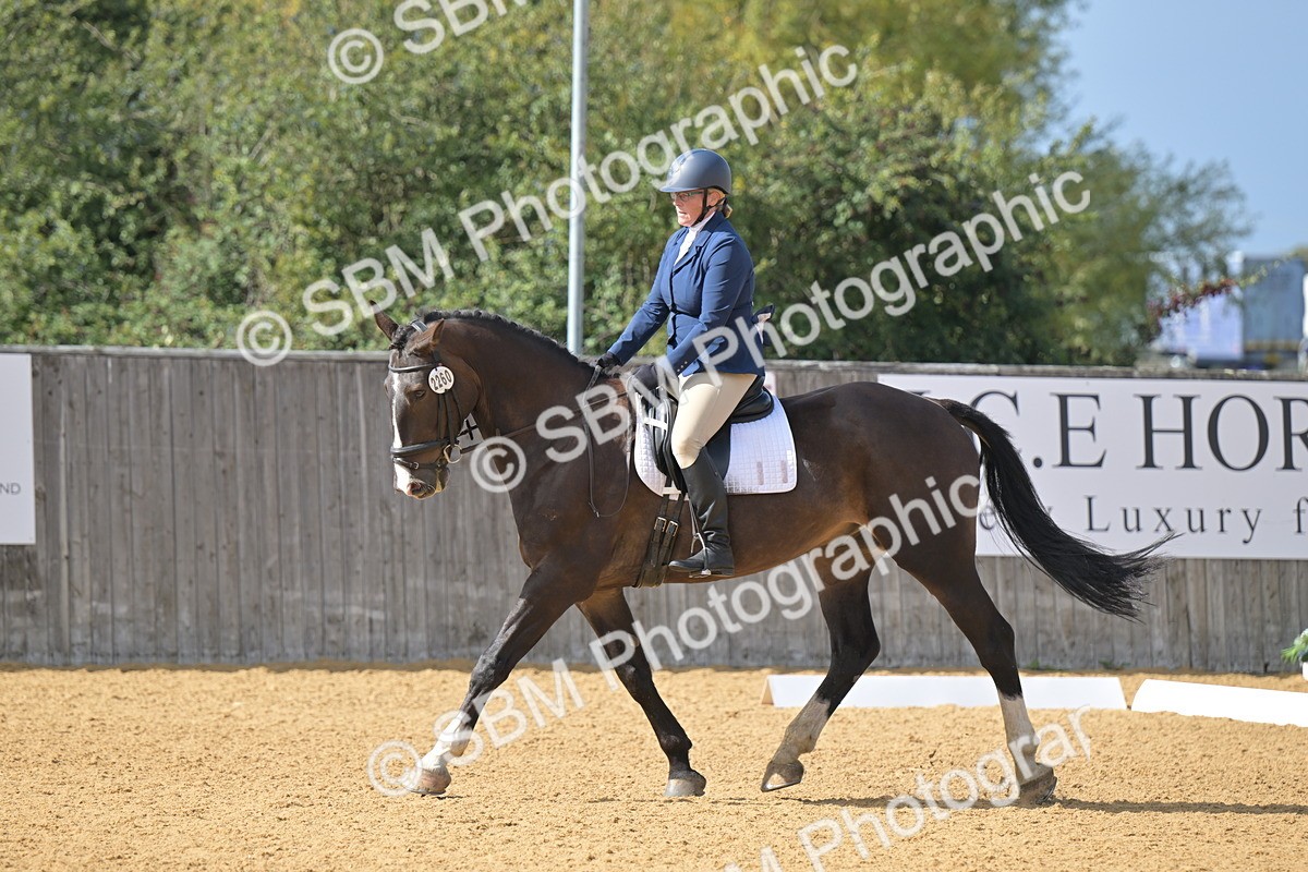 SBM_10955 - D3 - Small Tour Championship Intro 3