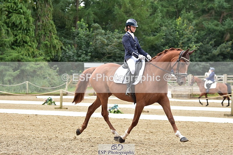 250719A-120844-05461 - 112-Amelia.Antippas-Romanno.Lady.Gaga