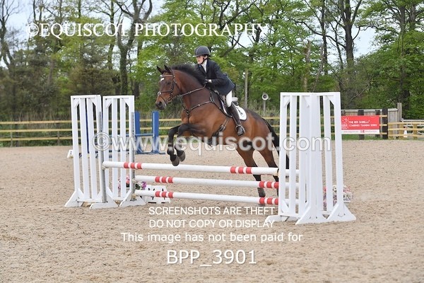 BPP_3901 - CLASS 2  Club/ Unaffiliated 80cms Open