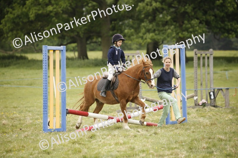 20250517-0240 - Class 1 - 30cm On Lead Rein