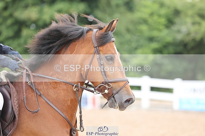 240630A-161130-15061 - Cls 33 Foxhunter and 1.10m Open