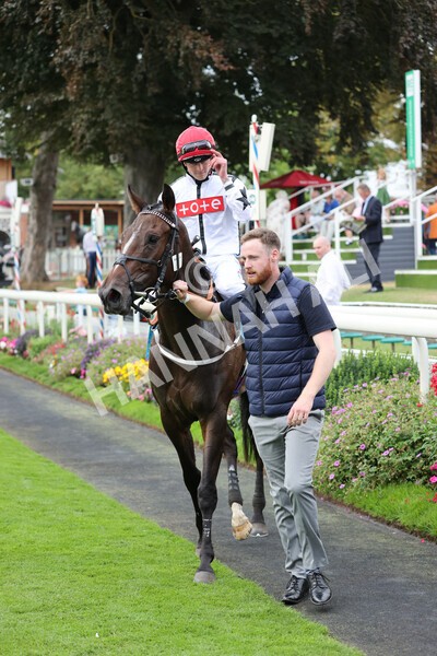 yr04092022r4-34 - Race 4 3.30pm Federation of Bloodstock Agents Nursery Handicap