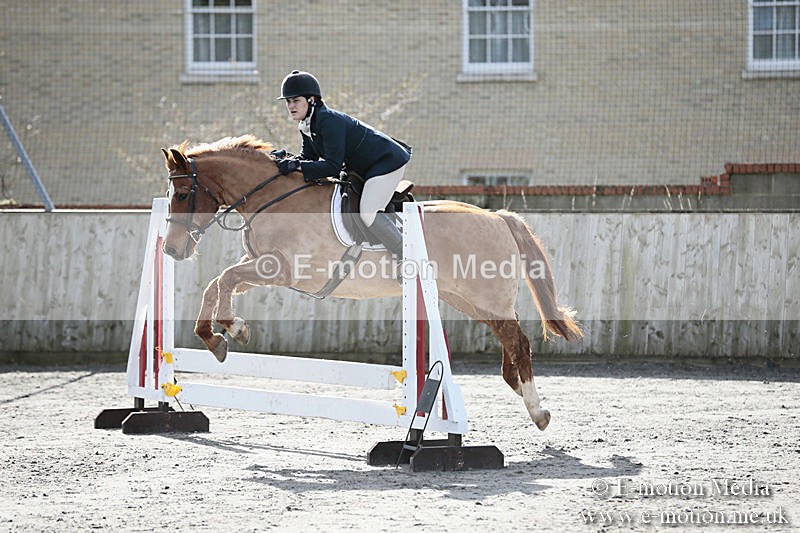BVRC SJ 170319 120 - Bourne Valley Riding Club Showjumping 17/03/19
