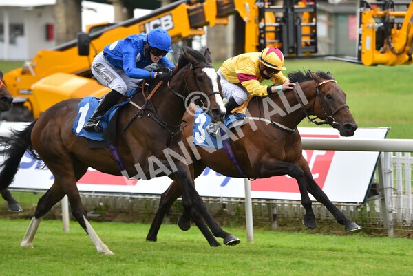 yr11062021r7-17 - Race 7 5.05pm SASH Charity Stakes