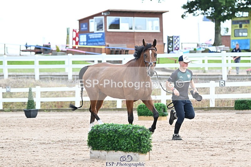 240717A-143659-02152 - Trot Up 2pm to 3pm - This folder is not in time order