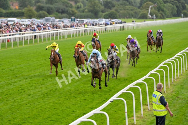 220824-Race 5-Scenic-7586 - Race 5 4.10pm British EBF & Sir Henry Cecil Galtres Stakes