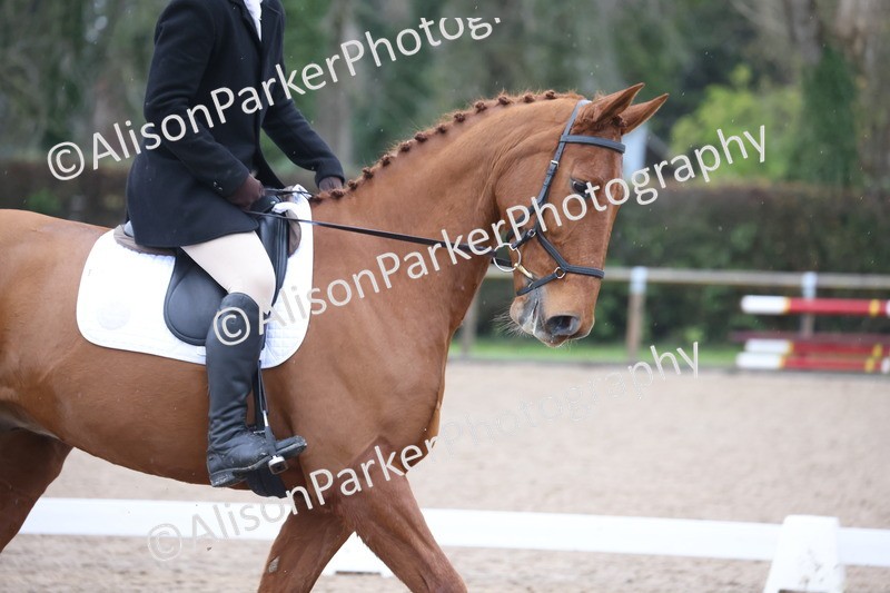 20251206-0606 - Class 6 - Novice 3