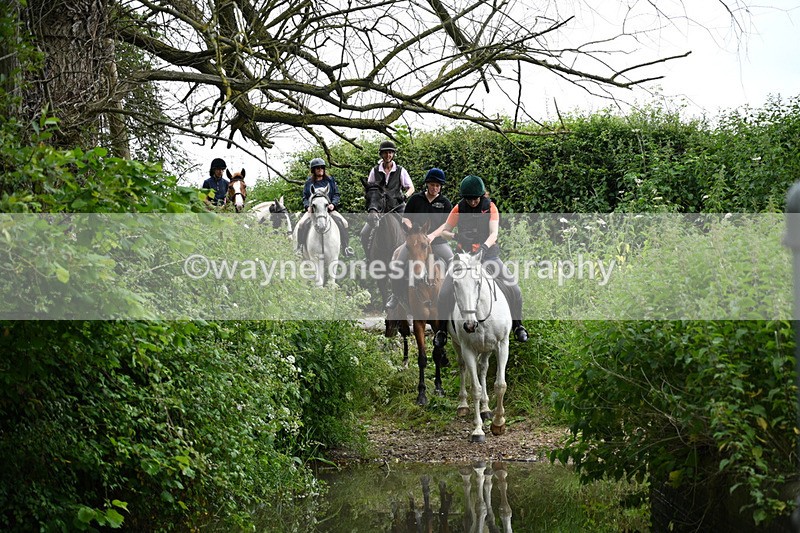WJ7_2384 - Camera 2 Water Crossing