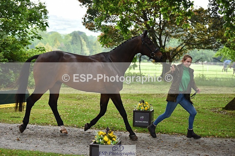 240522-164400-01119 - 218-DALI_III-Natasha_Bailey