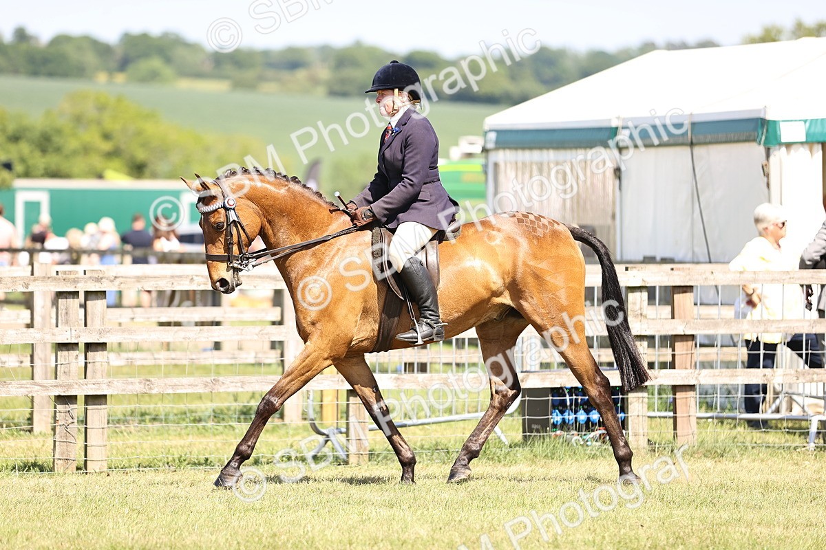 SBM_18025 - Class 81-83 - TSR Ridden Amateur of the Year - Horses